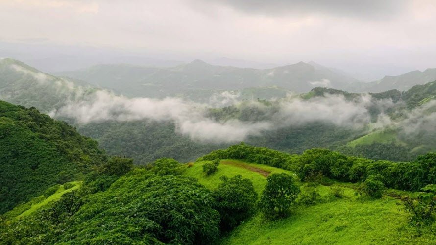 Tamhini Wildlife Sanctuary